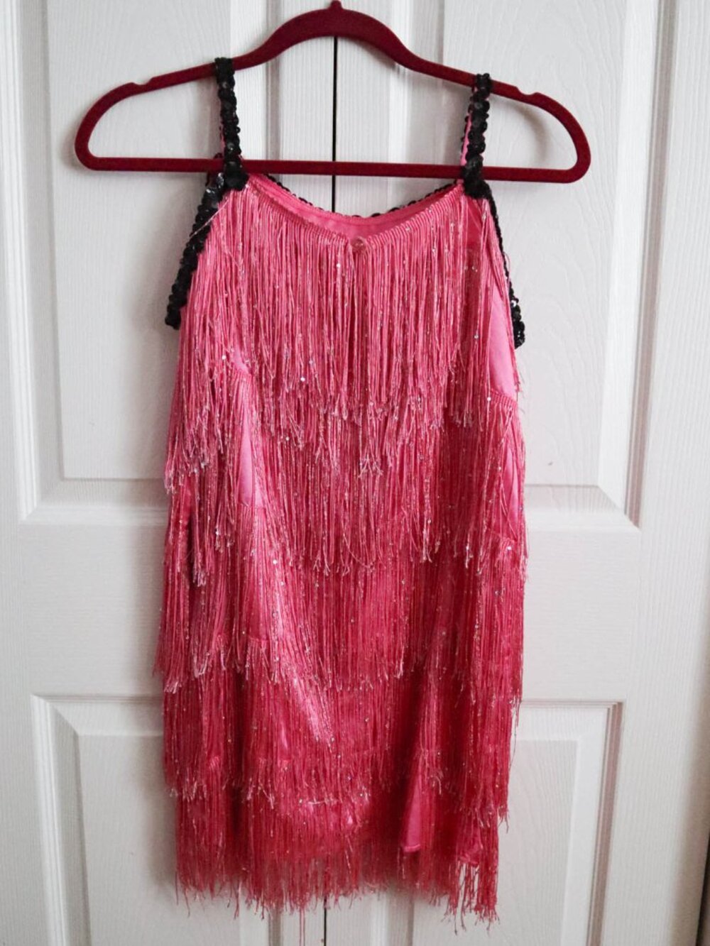 Chasing Fireflies Girls' Flapper Dress Costume Sz 12 Fringe Sequins Dolly Parton - Picture 6 of 8